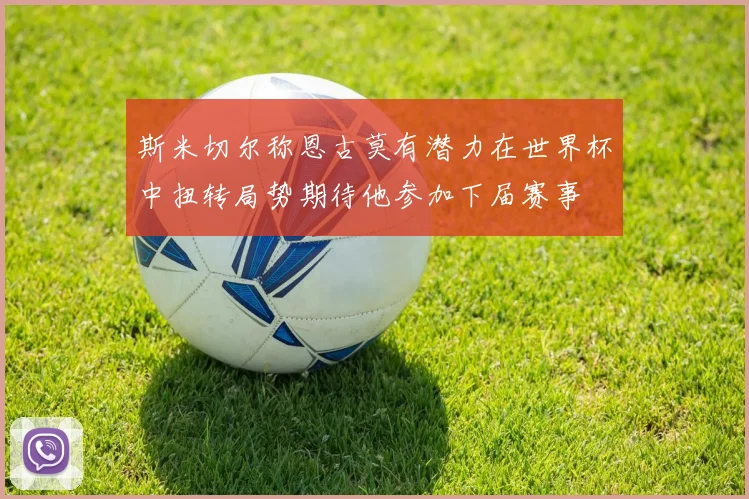 斯米切尔称恩古莫有潜力在世界杯中扭转局势期待他参加下届赛事