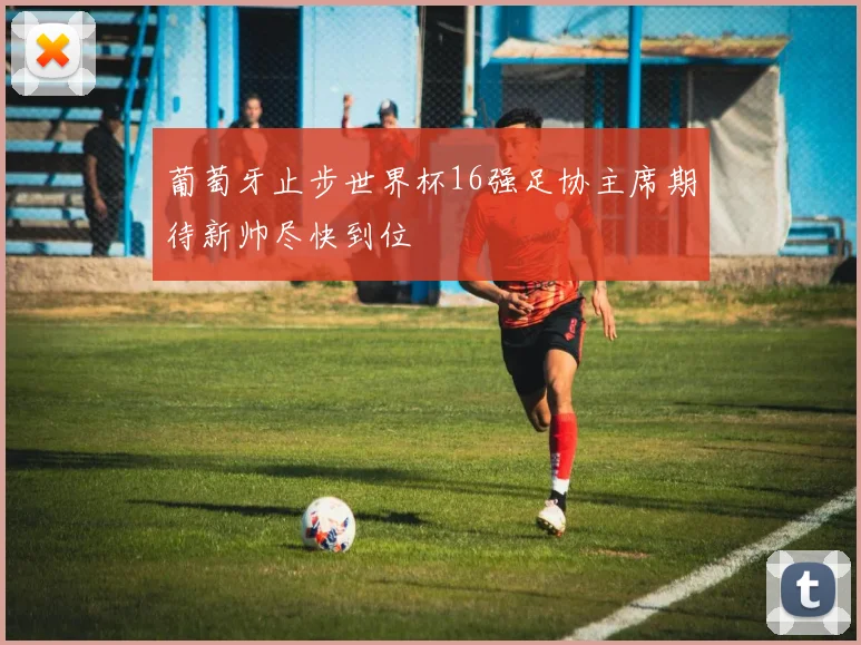 葡萄牙止步世界杯16强足协主席期待新帅尽快到位