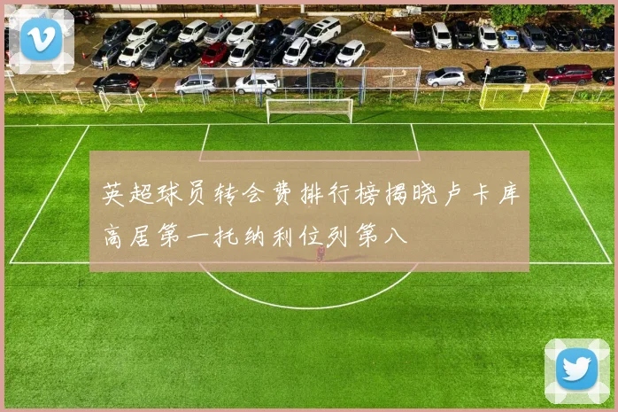英超球员转会费排行榜揭晓卢卡库高居第一托纳利位列第八