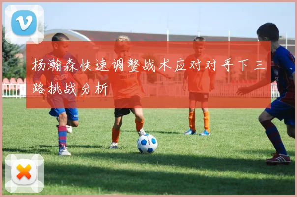 杨瀚森快速调整战术应对对手下三路挑战分析
